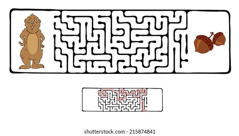 Vector Maze, Labyrinth education Game for Children with Marmot and Nut.