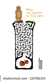 Vector Maze, Labyrinth education Game for Children with Marmot and Nut.