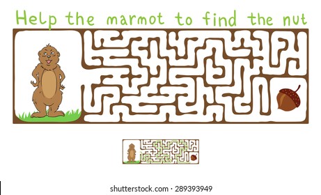 Vector Maze, Labyrinth education Game for Children with Marmot and Nut.