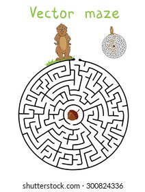Vector Maze, Labyrinth education Game for Children with Marmot and Nut.