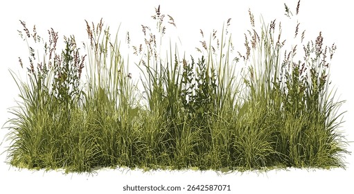 Vector meadow grass row prairie transparent background file, cutout, nature, green grass, prairie landscape, summer field, outdoor, natural, eco friendly, environment, wildflowers