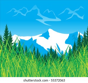 vector meadow in mountains