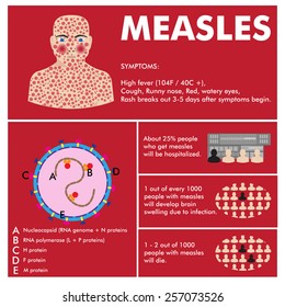 vector measles infographic. symptoms, basic statistics and virus scheme.