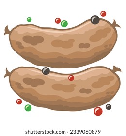 Vector meat beaf bbq sausages with pepper spices