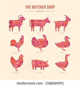 Vector meat cuts. Set a schematic view of animals for the butcher shop. Cow and pork, cattle and pig, chicken and lamb, beef and rabbit, duck and swine, goose and turkey, meat illustration.