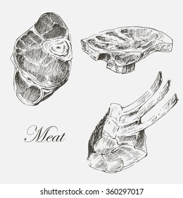 Vector Meat Hand Drawn Collection. Steak Sketch