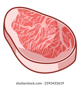 vector meat, steak, raw steak, 2d vector meat, bbq