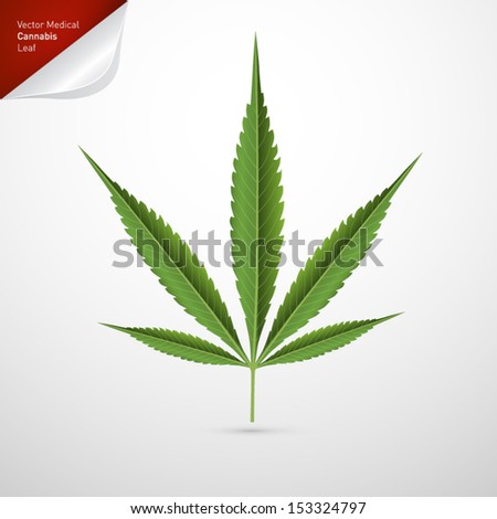 Vector Medical Cannabis Leaf Isolated on White Background