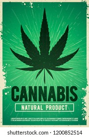 Vector Medical Cannabis Plant, Marijuana, Weed Poster Design In Grunge Style. Natural Product Of Organic Hemp. For Flyer And Banner