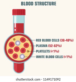 Vector Medical Icon Structure And Blood Components. Illustration Of A Flask With Blood Components: Red & White Blood Cells, Plasma, Platelets;