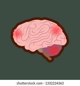 Human Brain Diagram Vector Illustration Shutterstock