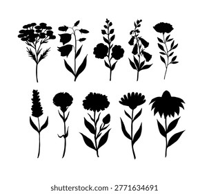 Vector medical plants silhouette set. Design for greeting cards, posters, backgrounds, package and cosmetics.