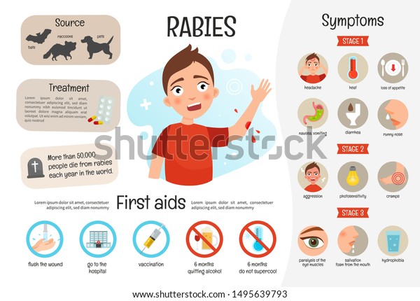 Vector\
medical poster rabies. Symptoms of the disease.\
