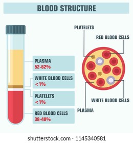 Vector medical science icon structure of blood. Illustration of a blood cell and its components; test tube with blood and plasma.