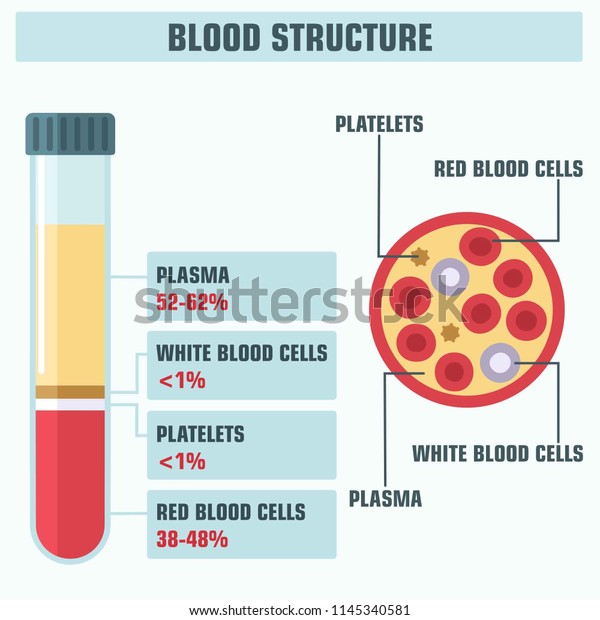 Vector medical science icon structure of blood.\
Illustration of a blood cell and its components; test tube with\
blood and plasma.