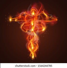 vector medical symbol, two snakes of a heart on  fire and smoke