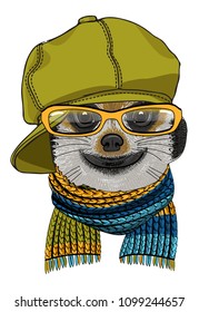 Vector meerkat with glasses, green cap and knitted scarf. Hand drawn illustration of dressed animal.