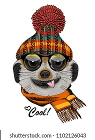 Vector meerkat with glasses, knitted hat and knitted scarf. Hand drawn illustration of dressed animal. The meerkat shows the tongue