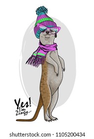 Vector meerkat with glasses, knitted hat and knitted scarf. Hand drawn illustration of dressed animal.