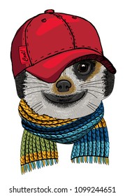 Vector meerkat with red cap and knitted scarf. Hand drawn illustration of dressed animal.