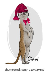 Vector meerkat with red knitted hat and bow. Hand drawn illustration of dressed suricate.