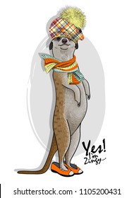 Vector meerkat with shoes, hat and knitted scarf. Hand drawn illustration of dressed animal.