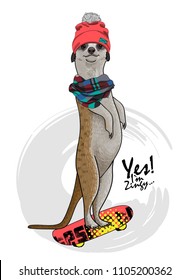 Vector meerkat with a skateboard. Meerkat with red hat and scarf. Hand drawn illustration of dressed animal.