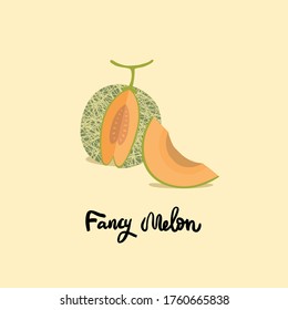 Vector melon illustration. Orange ripe melon on light background. Textured menons, juice japanese fruit. One slice and the whole fruit.