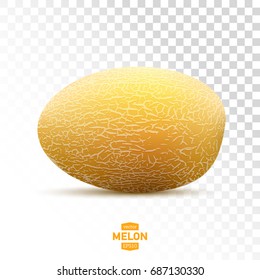 vector melon isolated on checkered background realistic illustration