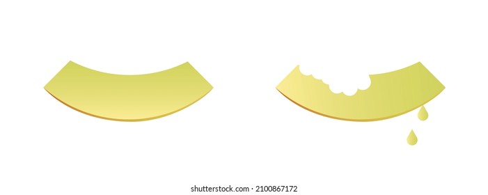 Vector melon. Premium quality vector graphics for your business.