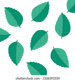 Vector menthol healthy aroma. Mint leaves vector logo