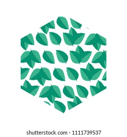 Vector menthol healthy aroma. Mint leaves vector logo