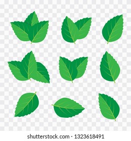 Vector menthol healthy aroma. Mint leaves vector logo