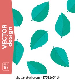 Vector menthol healthy aroma. Mint leaves vector logo