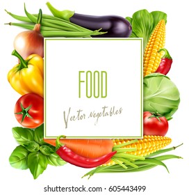 Vector menu pattern with vegetables (carrots, cabbage, basil, tomato, eggplant, corn, bok choy) with a square card for text