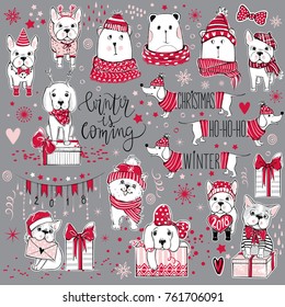 Vector Merry Christmas collection with cute holiday symbols. Funny bears and dogs. Happy New Year collection. Winter design. Xmas set. Fashion animals.