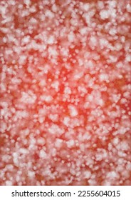 Vector Merry Christmass and New Year Glitter Snowfall Background. White and Silver Defocused Light Spots on Red Gradient. Magic Fantasy Bokeh Glowing Design. Falling Snow Effect. Christmass Poster