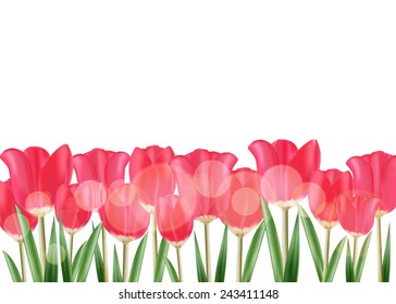 Vector mesh spring tulip isolated on white background.