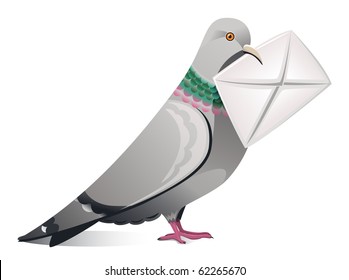 Vector Messenger Pigeon With Letter