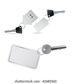 Vector Metal Key With Tag Set