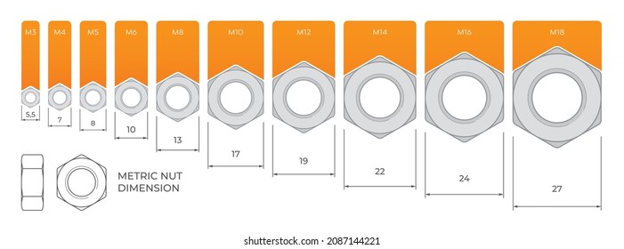 Vector Metric nut Dimension. Isolated on white background