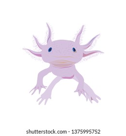 vector mexican axolotl
