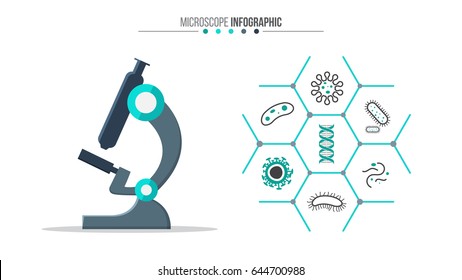 Vector microscope infographic. Medical and healthcare template for presentation with 7 steps, options, parts or processes.