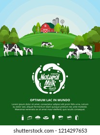 Vector milk illustration with milk splash. Summer rural landscape with cows, calves and farm.