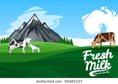 Vector milk illustration. Summer mountains landscape with cows and calves.