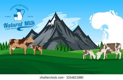Vector milk illustration. Summer mountains landscape with cows and calves.