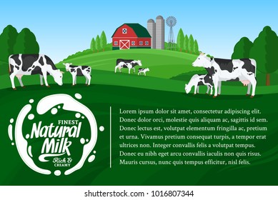 Vector milk illustration. Summer rural landscape with cows, calves and farm.