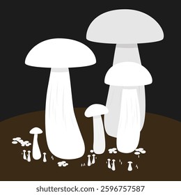 Vector of milky mushroom background
