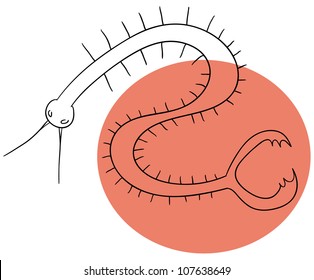 Vector millipede is isolated on a white background