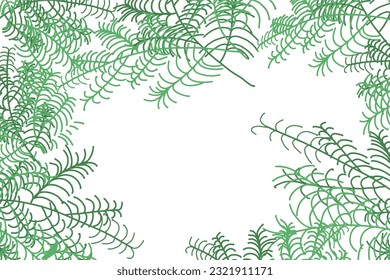 Vector Mimosa podia green leafs  frame illustration background. Perfect for invitation cards, greeting cards, wallpapers, posters, banners, advertisements.